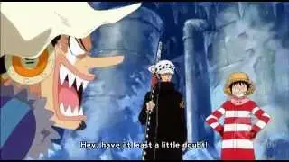 One Piece - Luffy & Law Pirate Alliance Funny (Episode 594)