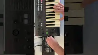 Volt microKpg with Korg R3 - 2