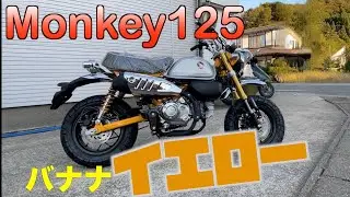 新色【モンキー125】2024イエローカラーで新旧車両を色々比較