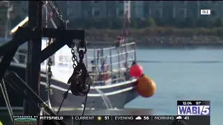 Gulf of Maine scallop season resumes with new catch limits