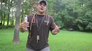 Hunting Dog Training | Pinch Collar Obedience