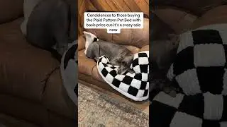Amazing plaid pet bed sale!#petbeds #petsale #plaid #dogbed