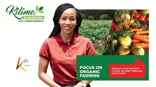 Unlock the Power of Organic Farming! | Kilimo na Biashara