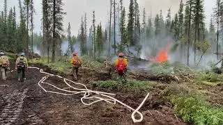 Crews in Alaska containing lightning bust - Pogo Mine Road Fire 2023 - Delta Junction Alaska