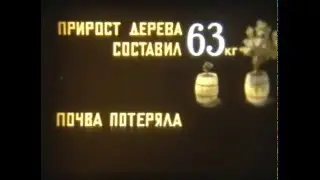 Почему гидропоника, Жизнь из солнца и воды, Хлорофил, витграсс, Vitavim, Витавим