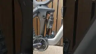 Canyon Strive Underdog Shapeshifter 2022