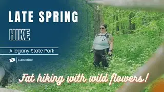 Three Sisters trail ASP//Late May//Plus Size hiking 🌸