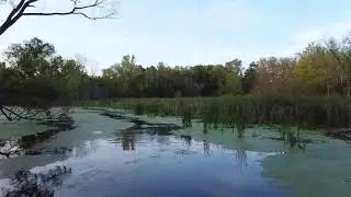 Lake kegonsa