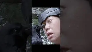 Alien vs Ninja｜Raven&rsquo;s Eye Attack! Brutal Hunt Unleashed⚔️🩸