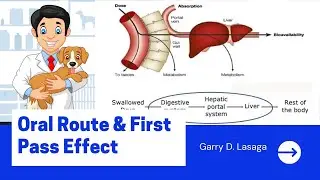 VET PHARMA 1 | Oral Route & First-Pass Effect | GIT Absorption