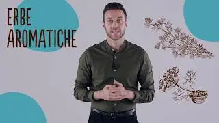 Spezie ed erbe aromatiche | Nutrizionista Andrea Del Seppia | Esperto su Misura