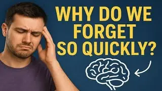 Why Do We Forget So Quickly ?