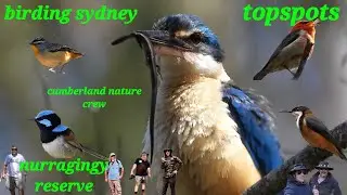 birding sydney top spots-Nurragingy a gem@next-stop..who-knows-what