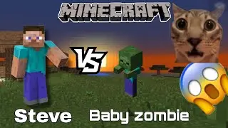 STEVE VS BABY ZOMBIE
