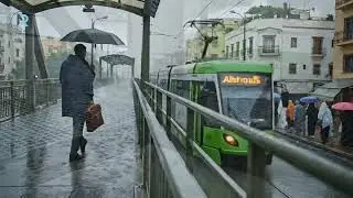 Rainy Morning Coffee Ambience (5 Minutes) | Soft Rain Sounds for Relaxation| Rainy Nook