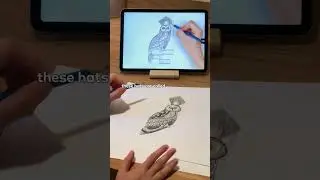 Simply Draw Routine