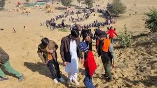 Camel festival  bikaner-2026-10
