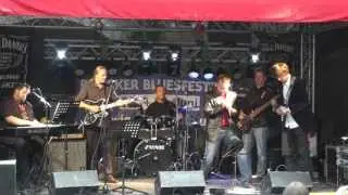 Wienergassenblues 2013 - Riding Notes Reloaded - Rats and roaches in my kitchen