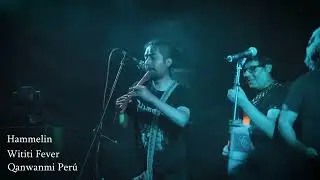 HAMMELIN - Wititi Fever