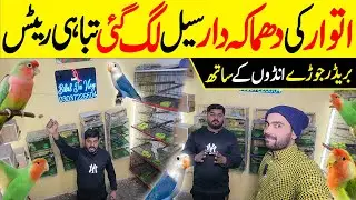 Sunday offers a gai Breedar Pair andon ke sath #lahorientertainmentchannel 