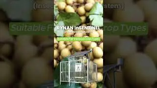 Smart Farming Technology: AI Insect Monitoring