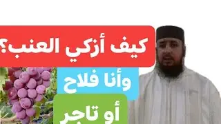كيفية إخراج زكاة العنب