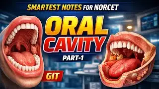 ORAL CAVITY – Complete Anatomy & Functions | ONE CONCEPT = ONE WIN | NORCET