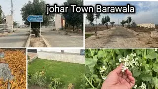 Bure Wala Johar town ki karty hen sear//by 