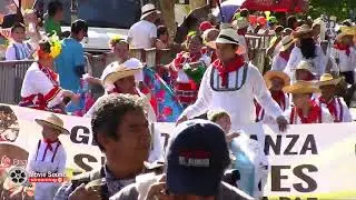 Desfile de Bienvenida Candidatas Participantes Reinado Nacional del Bambuco.