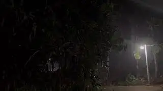 Relaxing Rain Sounds for Deep Sleep and Study | Meditation & Calm Mind | Rain Ambience for Sleeping