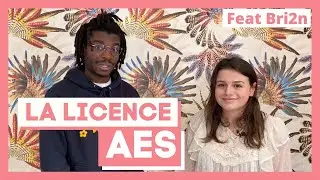 La Licence AES (Administration Économique et Sociale) - Thotis x  @Bri2n