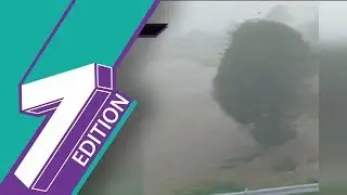 Typhoon Trami Smashes Mainland Japan, Nearly 50 Hurt