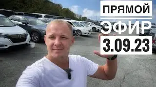 Прямой эфир 3.09.23 #подборавто #vdk #подборавтомобиля #shortvideo #автоподбор #vladivostok #vdk