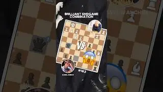 Vasyl Ivanchuk Vs Daniil Dubov Brilliant Chess Endgame #163 #catur #chess #chessplayer #checkmate