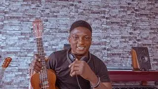 Acoustic + Ukulele Loops