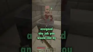 Minecraft Survival Villager Trading Setup Guide