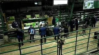 Conversatorio: Caminos y Saberes Mulares y Asnales