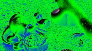 The Good Dinosaur - You're All Set! (Sponsored By: Gamavision Csupo Effects)