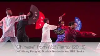New Ballet Ensemble and School Photos Work Sample for NEA - 2016