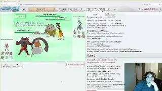 Learning VGC With DankishDolphin Day 11