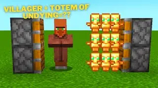 Minecraft, villager + totem of undying=??