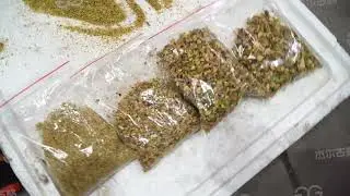 Multi-purpose Pistachio Roasting Cutting Processing Machine Manufacturer From Cara@machinehall.com