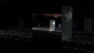 FROM THE LIGHT FLOW: BENA KOORLINY Perth Oct 2024