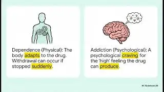 Opioid Agonists and Antagonists Relaxants Explanation