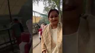 This is a funny￼ zoo video, ha ha ha ha ha, 