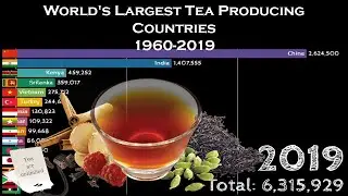 World's Largest Tea Producing Countries 1960-2019 | Top 15 Tea Producing Countries 1960-2019