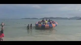 Boa   malaluca