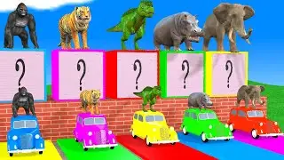 Long Slide Game With Cow Elephant Gorilla Hippopotamus Tiger 3d Animal Game Funny 3d Animals