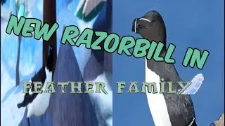 NEW razorbill in FF! 