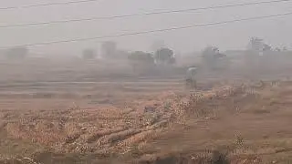 Elephant spotted in our village | Elephant and Humans | Elephant crossing road #elephant #wildlife 